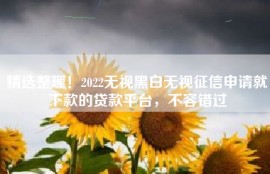 精选整理！2022无视黑白无视征信申请就下款的贷款平台，不容错过