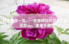 网贷名单一览，一定借到钱的贷款平台贷款app，拿走不谢