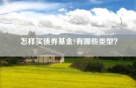 怎样买债券基金?有哪些类型？