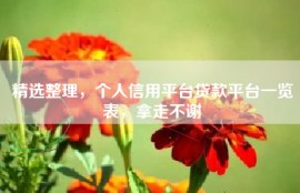 精选整理，个人信用平台贷款平台一览表，拿走不谢