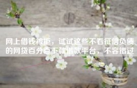 网上借钱被拒，试试这些不看征信负债的网贷百分百下款借款平台，不容错过