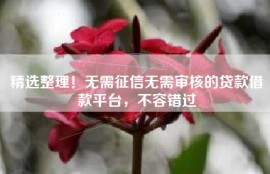 精选整理！无需征信无需审核的贷款借款平台，不容错过