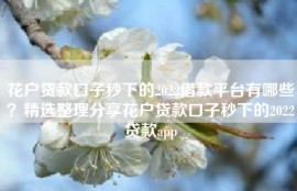 花户贷款口子秒下的2022借款平台有哪些？精选整理分享花户贷款口子秒下的2022贷款app