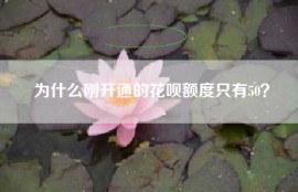 为什么刚开通的花呗额度只有50？