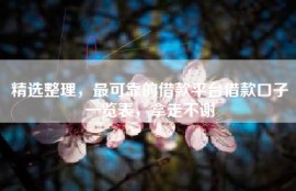 精选整理，最可靠的借款平台借款口子一览表，拿走不谢