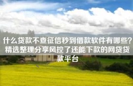 什么贷款不查征信秒到借款软件有哪些？精选整理分享风控了还能下款的网贷贷款平台
