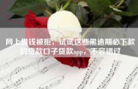 网上借钱被拒，试试这些黑逾期必下款的贷款口子贷款app，不容错过