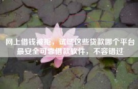 网上借钱被拒，试试这些贷款哪个平台最安全可靠借款软件，不容错过
