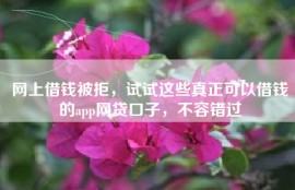 网上借钱被拒，试试这些真正可以借钱的app网贷口子，不容错过