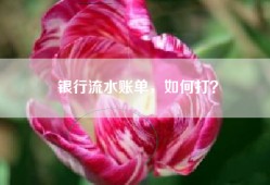 银行流水账单，如何打？