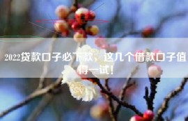 2022贷款口子必下款，这几个借款口子值得一试！