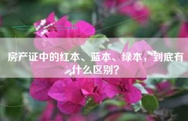 房产证中的红本、蓝本、绿本，到底有什么区别？