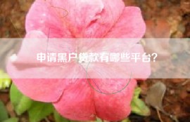 申请黑户贷款有哪些平台？