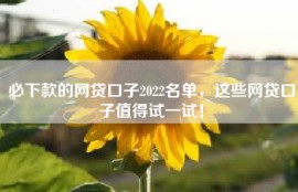 必下款的网贷口子2022名单，这些网贷口子值得试一试！