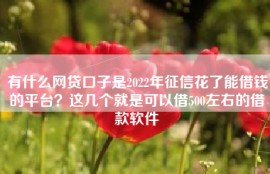 有什么网贷口子是2022年征信花了能借钱的平台？这几个就是可以借500左右的借款软件