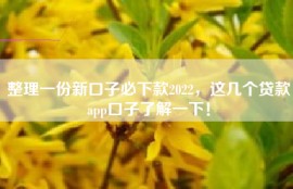 整理一份新口子必下款2022，这几个贷款app口子了解一下！