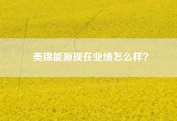 美锦能源现在业绩怎么样？