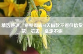 精选整理，短期周转30天借款不看征信贷款一览表，拿走不谢