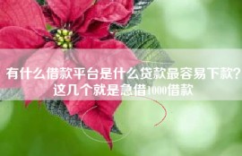 有什么借款平台是什么贷款最容易下款？这几个就是急借1000借款