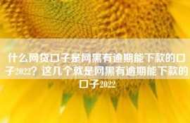 什么网贷口子是网黑有逾期能下款的口子2022？这几个就是网黑有逾期能下款的口子2022