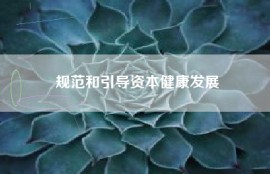 规范和引导资本健康发展