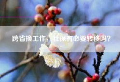 跨省换工作，社保有必要转移吗？
