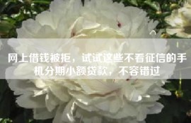 网上借钱被拒，试试这些不看征信的手机分期小额贷款，不容错过
