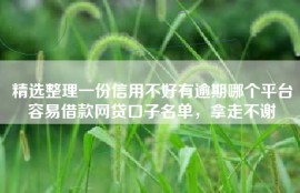 精选整理一份信用不好有逾期哪个平台容易借款网贷口子名单，拿走不谢
