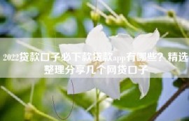 2022贷款口子必下款贷款app有哪些？精选整理分享几个网贷口子