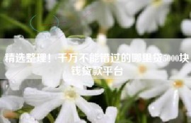 精选整理！千万不能错过的哪里贷5000块钱贷款平台