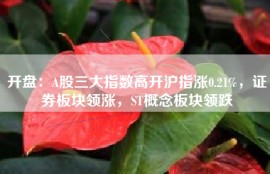 开盘：A股三大指数高开沪指涨0.21%，证券板块领涨，ST概念板块领跌
