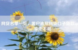 网贷名单一览，黑户逾期网贷口子贷款app，拿走不谢