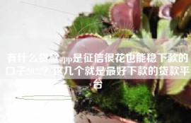 有什么贷款app是征信很花也能稳下款的口子2022？这几个就是最好下款的贷款平台