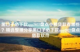 黑口子必下款app2022盘点小额贷款有哪些？精选整理分享黑口子必下款app2022盘点借款软件