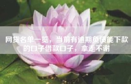 网贷名单一览，当前有逾期负债能下款的口子借款口子，拿走不谢