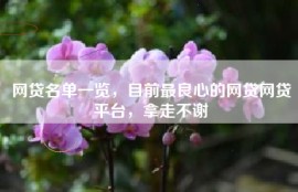 网贷名单一览，目前最良心的网贷网贷平台，拿走不谢