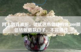 网上借钱被拒，试试这些借钱应急3000微信转账借款口子，不容错过