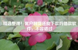 精选整理！黑户网贷还能下款吗借款软件，不容错过