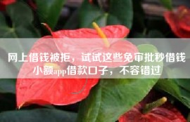 网上借钱被拒，试试这些免审批秒借钱小额app借款口子，不容错过