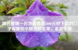 精选整理一份急需借钱3000元秒下款的口子有哪些小额贷款名单，拿走不谢