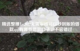 精选整理！2022无需审核可以秒到账的借款app有哪些借款口子，不容错过