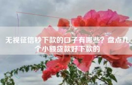 无视征信秒下款的口子有哪些？盘点几个小额贷款好下款的