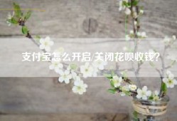 支付宝怎么开启/关闭花呗收钱？