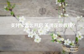 支付宝怎么开启/关闭花呗收钱？