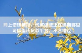 网上借钱被拒，试试这些正在逾期哪里可以借钱贷款平台，不容错过