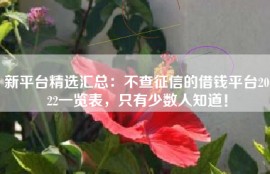 新平台精选汇总：不查征信的借钱平台2022一览表，只有少数人知道！