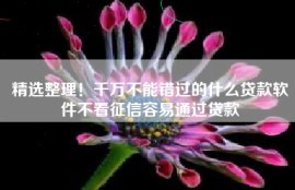 精选整理！千万不能错过的什么贷款软件不看征信容易通过贷款