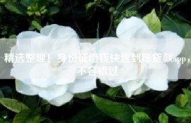 精选整理！身份证借钱快速到账贷款app，不容错过