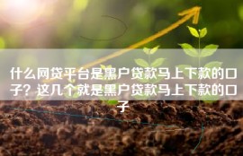 什么网贷平台是黑户贷款马上下款的口子？这几个就是黑户贷款马上下款的口子