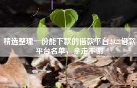 精选整理一份能下款的借款平台2022借款平台名单，拿走不谢
